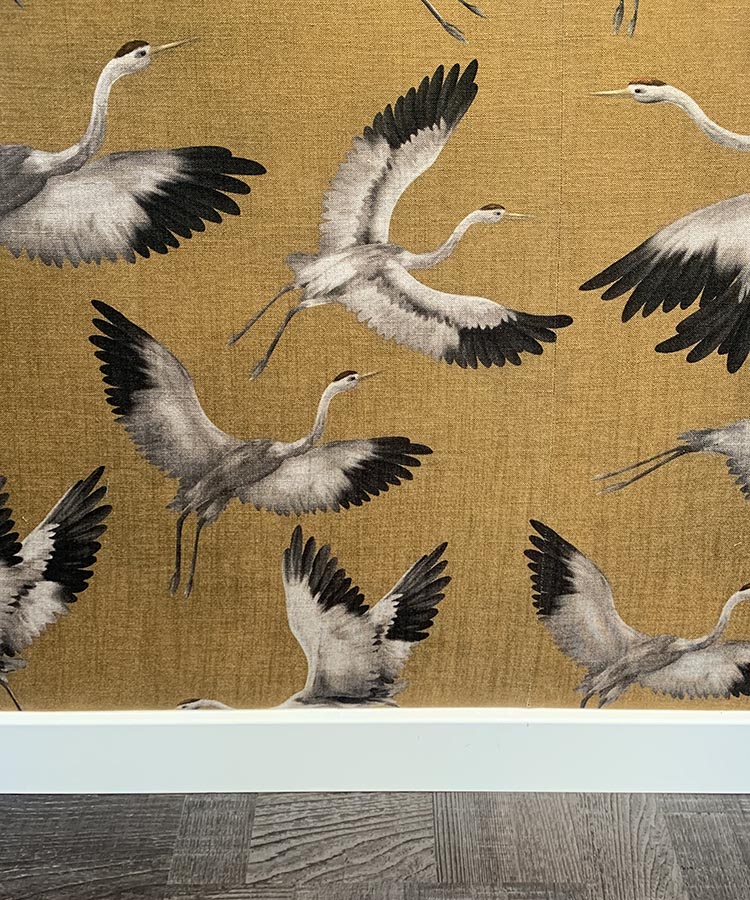 wohltmann-cuxhaven-geschaeft-04